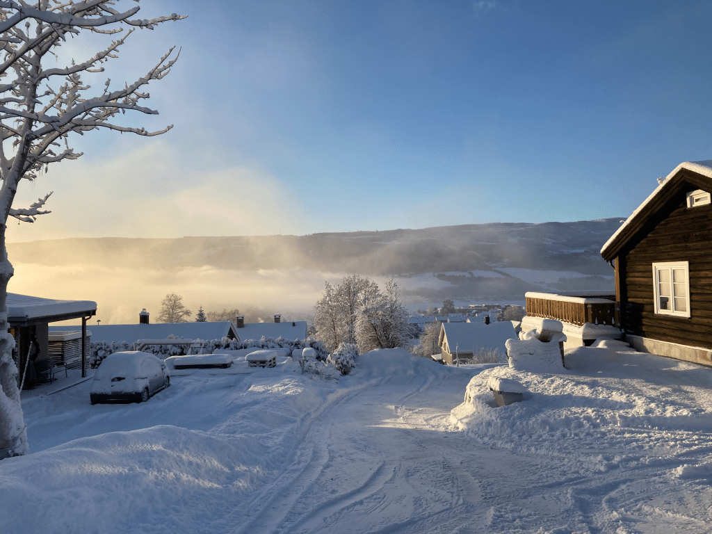 Understanding the Impact of Glazing on Daylight Transmission in Buildings